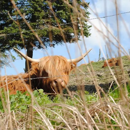 Vakantiehuis Ramsbeck Ramsbeck