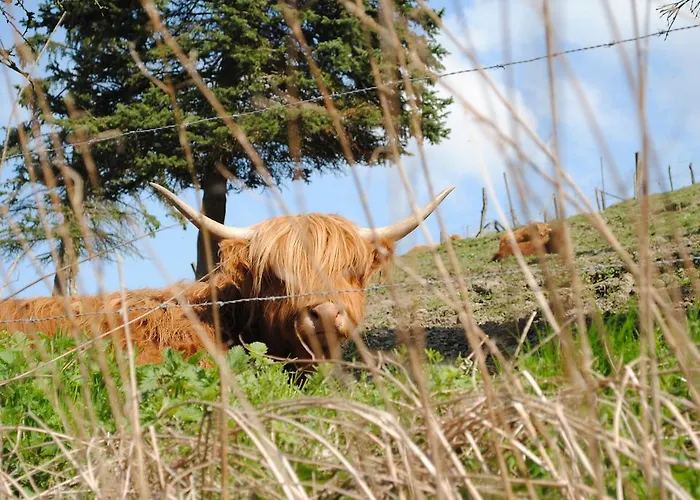 Vakantiehuis Ramsbeck Ramsbeck