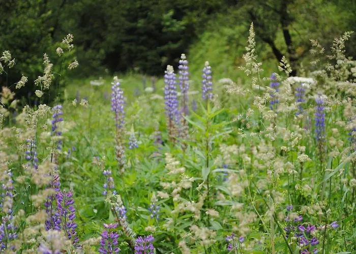 Prázdninový dům Vakantiehuis Ramsbeck Ramsbeck