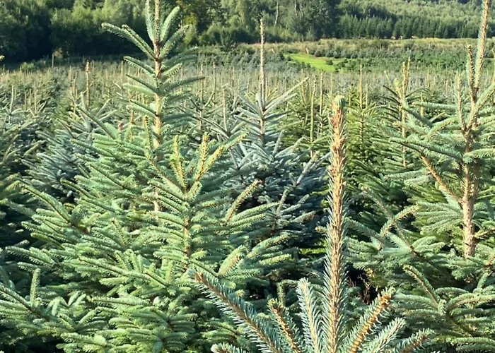 Vakantiehuis Ramsbeck Дом отдыха Ramsbeck